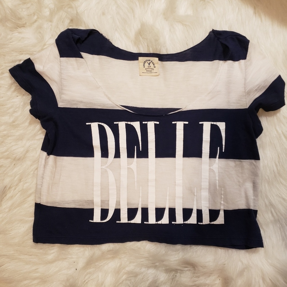 American Eagle Vintage T Crop Top
